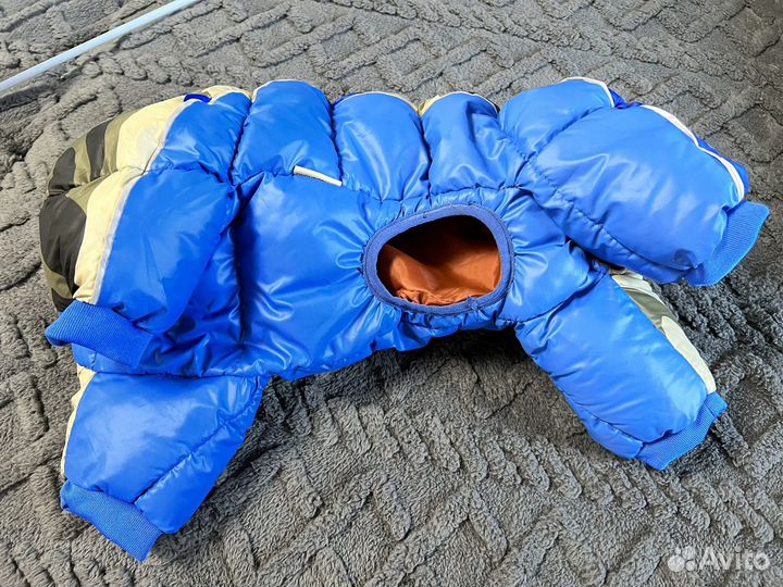 Комбинезон для мелкой собаки