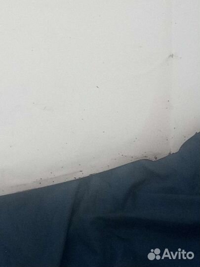 Капот Nissan Expert 2001 г.в