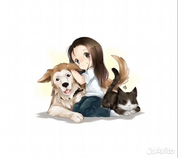 Пиар животных