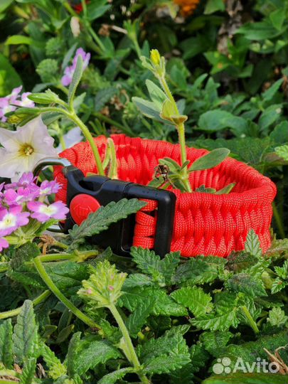 Ошейник из паракорда