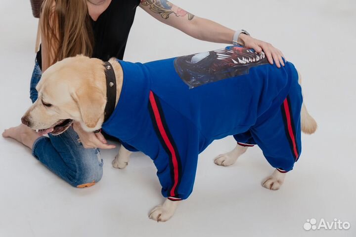 Спортивный костюм/одежда для собак