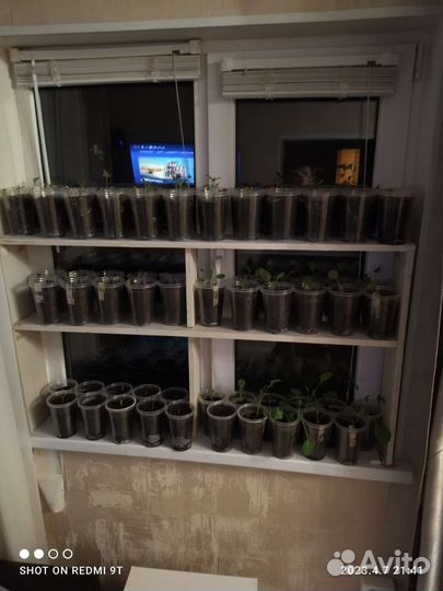 Этажерка для цветов