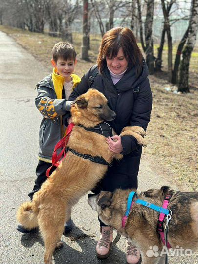 Очаровательный Тобиас мечтает о семье и доме