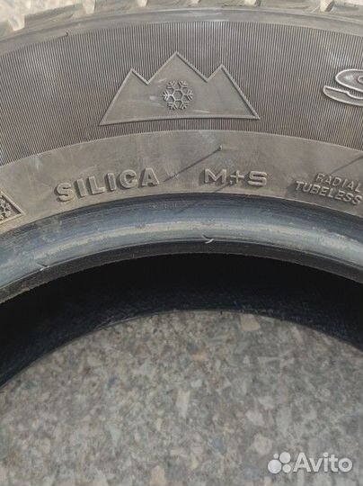 Triangle Snow-LL01 215/65 R16