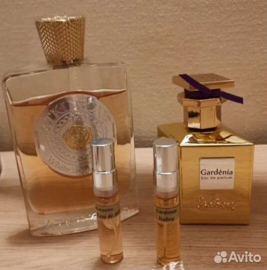 White Rose de Alix Atkinsons, Isabey Gardenia