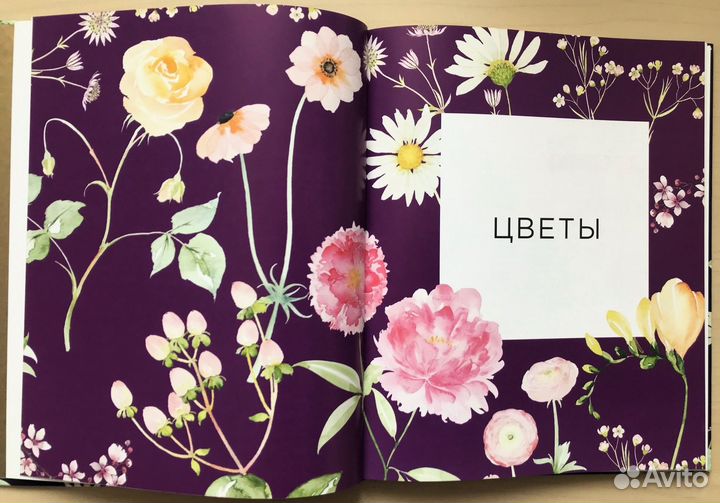 Книга Харриет де Винтон 