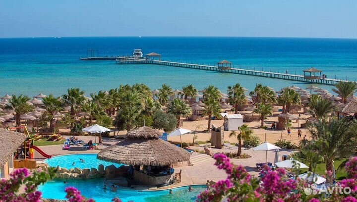 Семейный Тур в Хороший отель в Египте Albatros*