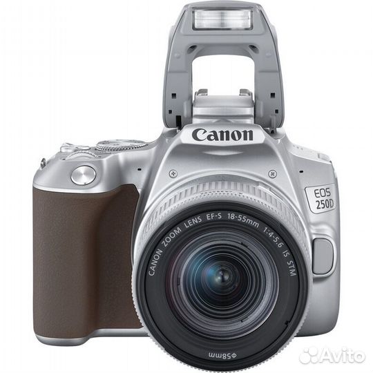 Canon EOS 250D Kit 18-55 IS STM