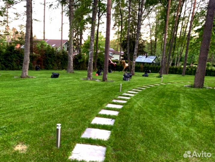 Рулонный газон