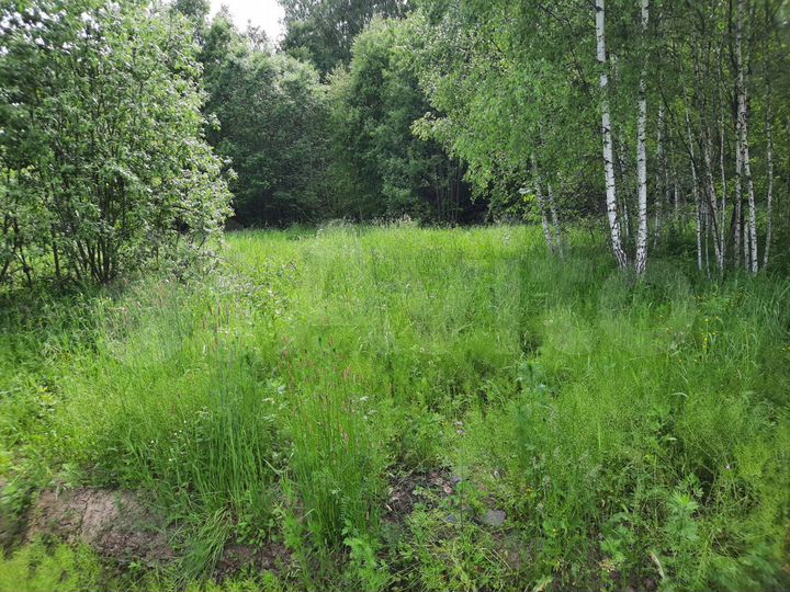 Участок 9 сот. (ИЖС)