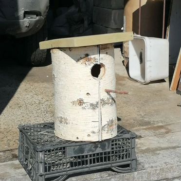 Скворечники для птиц новосибирск