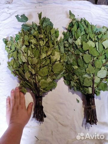 Веник липа с березой