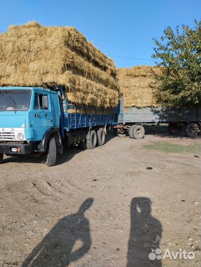 Солома рисовая