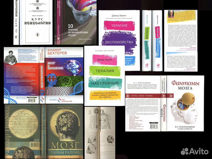 Павлов Лурия Немов детская психология