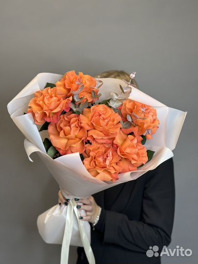 Розы Эквадор Премиум