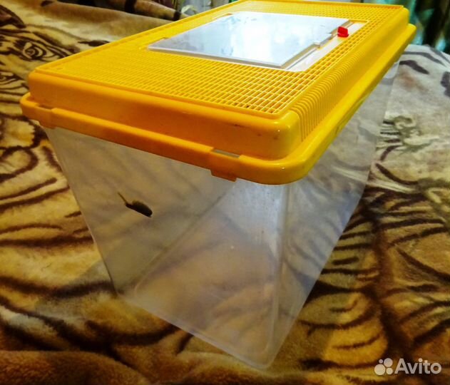 Террариум,аквариумы