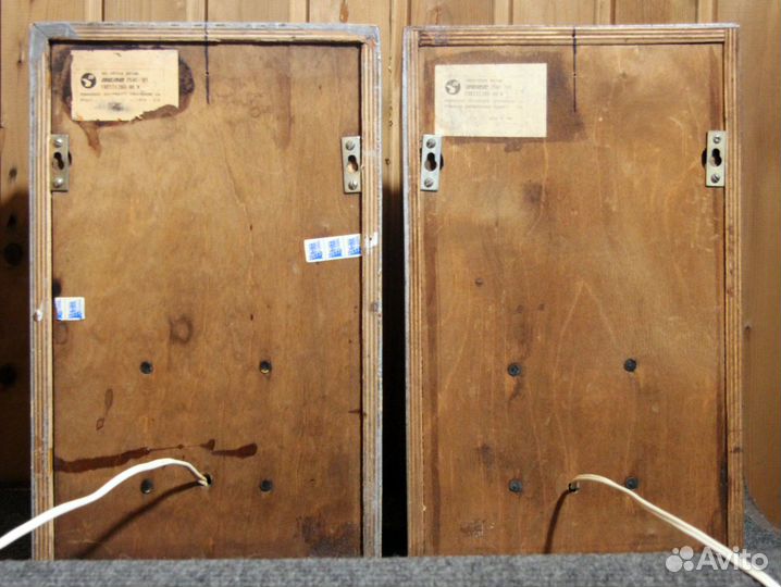 Колонки Вега 25ас 101