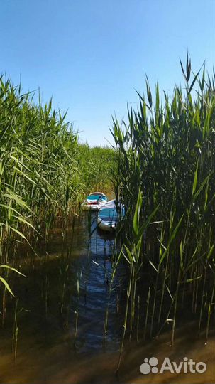 Sup board сап доска