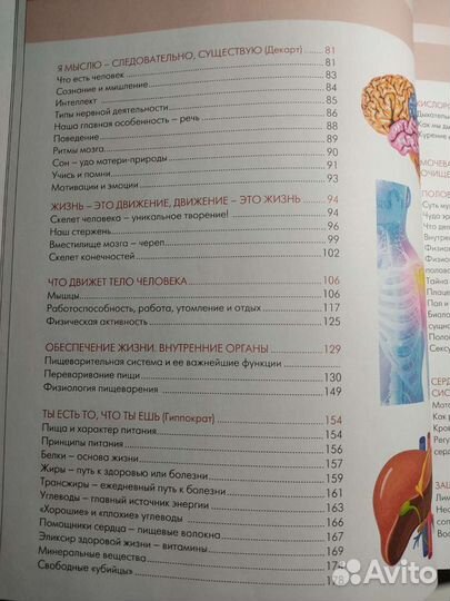 Анатомия и физиология: большой популярный атлас