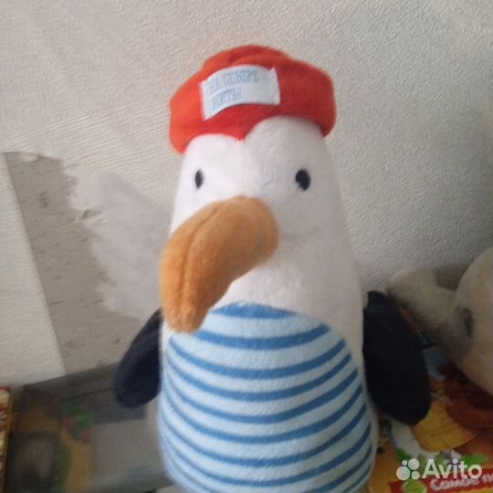 Голубь матрос