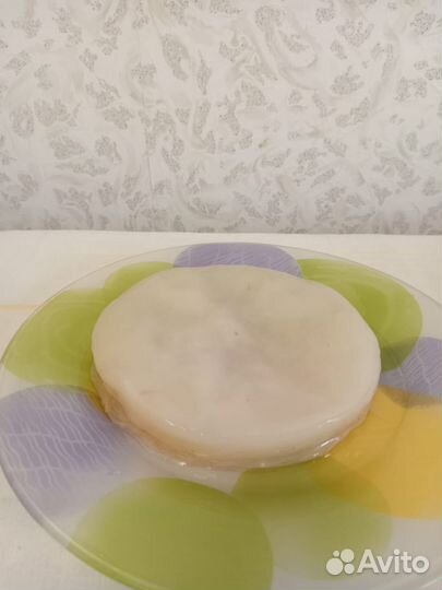 Чайный гриб комбуча