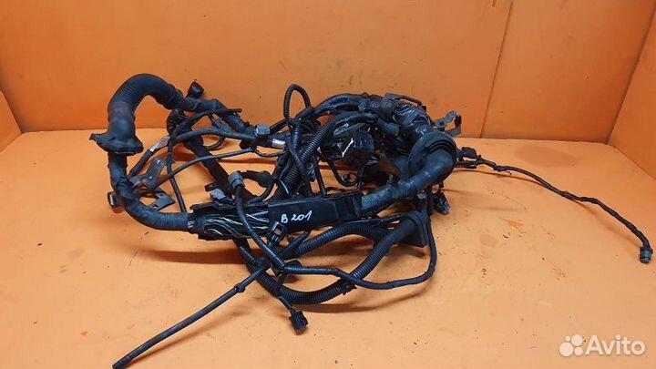 Проводка моторная Infiniti Fx35 S51 3.5 2009