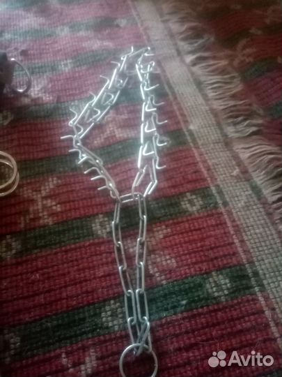 Строгий ошейник для собак