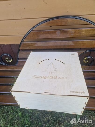 Саженцы ели европейской зкс