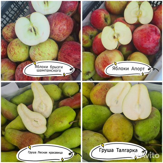 Клубника, яблоки и груши