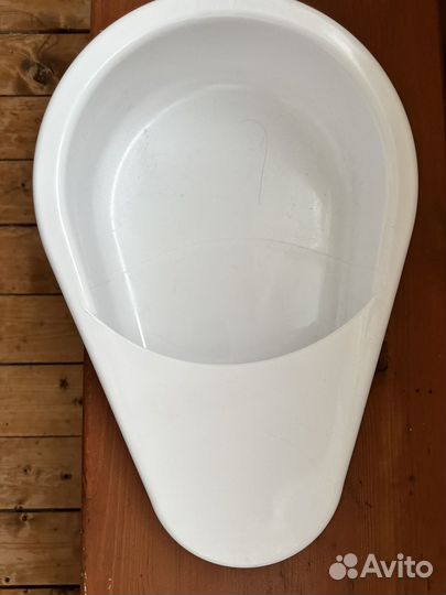 Утка медицинская