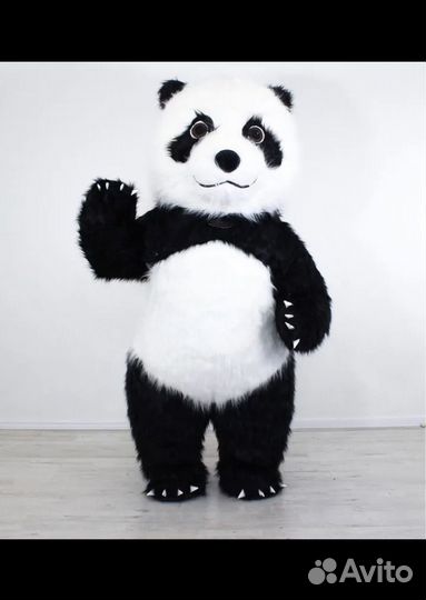 Ростовой медведь
