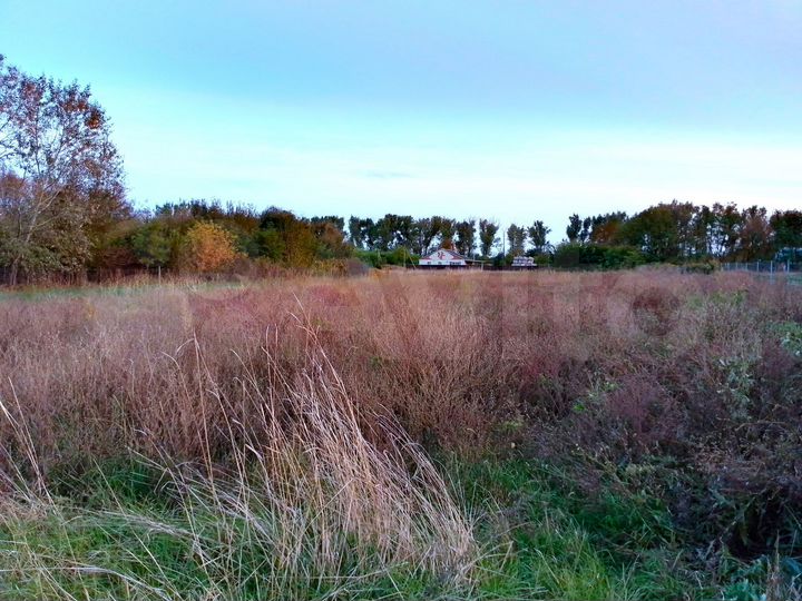 Участок 30 сот. (ИЖС)