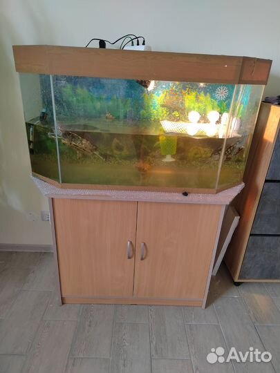 Аквариум с тумбой
