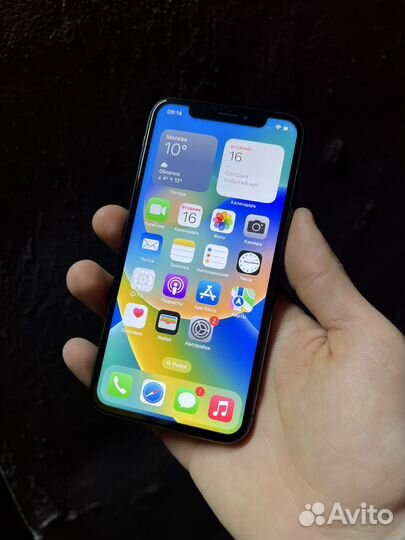 iPhone X, 256 ГБ