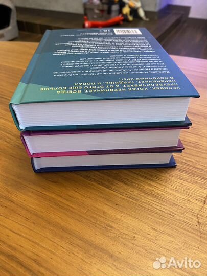 Иоанна Хмелевская