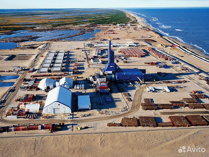 Начальник электромонтажного участка