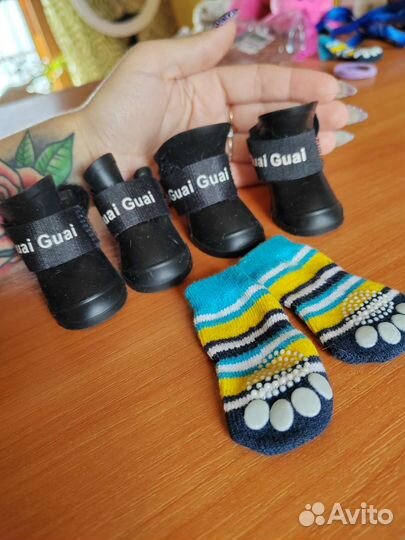 Обувь для собак