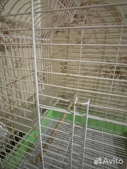 Клетка для попугая большая