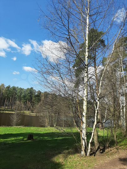 Участок 12,7 сот. (ИЖС)