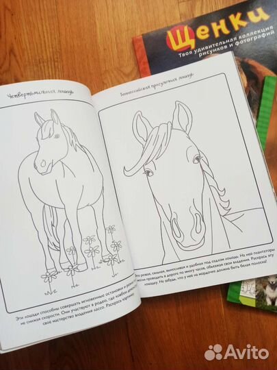 Серия книжек-раскрасок 