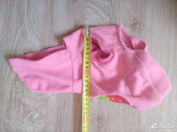 Одежда для собак