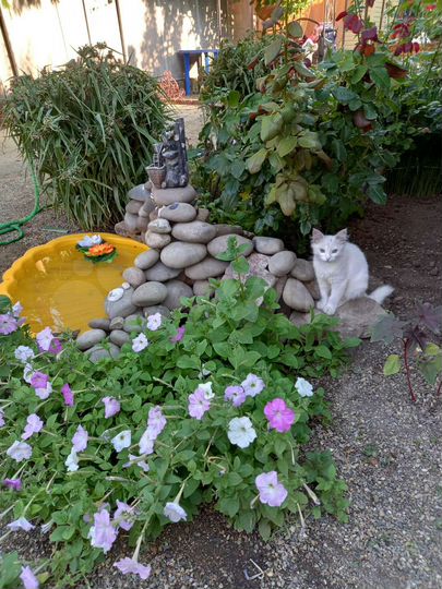 Комната 10 м² в 1-к., 1/1 эт.