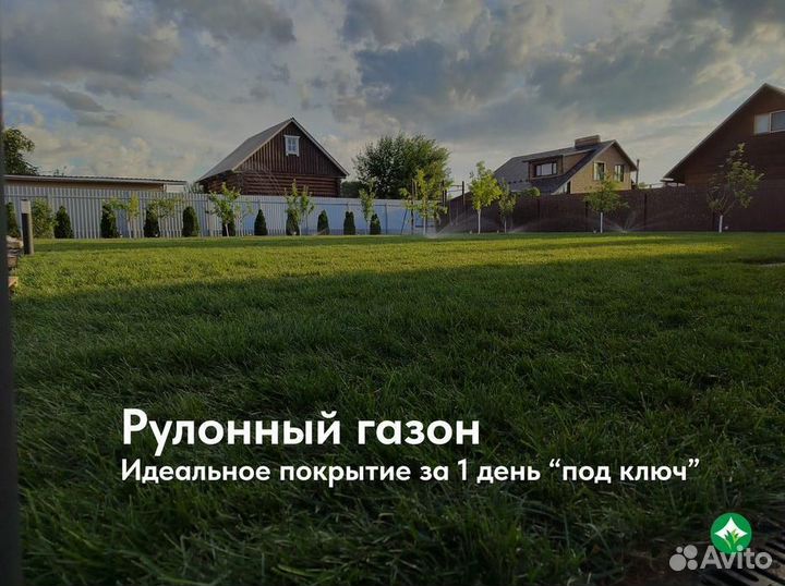 Газон рулонный с доставкой