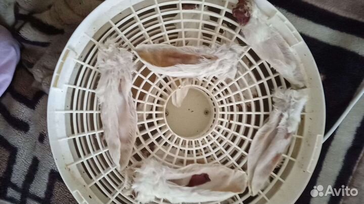 Сушоные лакомства