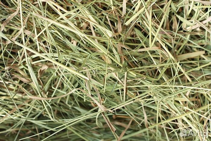 Луговое сено в рулонах и тюках