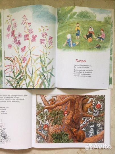 Дар Речи. Бесков: Дети лесного гнома