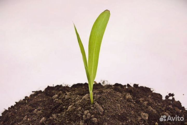 Грунт растительный