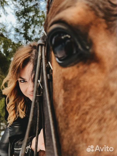 Конные прогулки