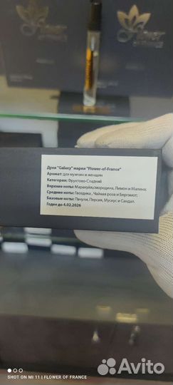 Tiziana terenzi cassiopea французский аналог