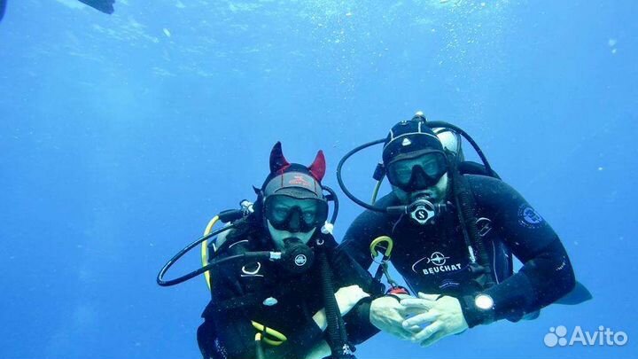 Дайвинг в анапе